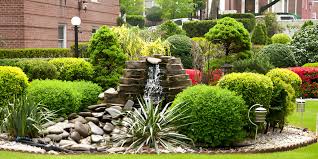 Garden Plant